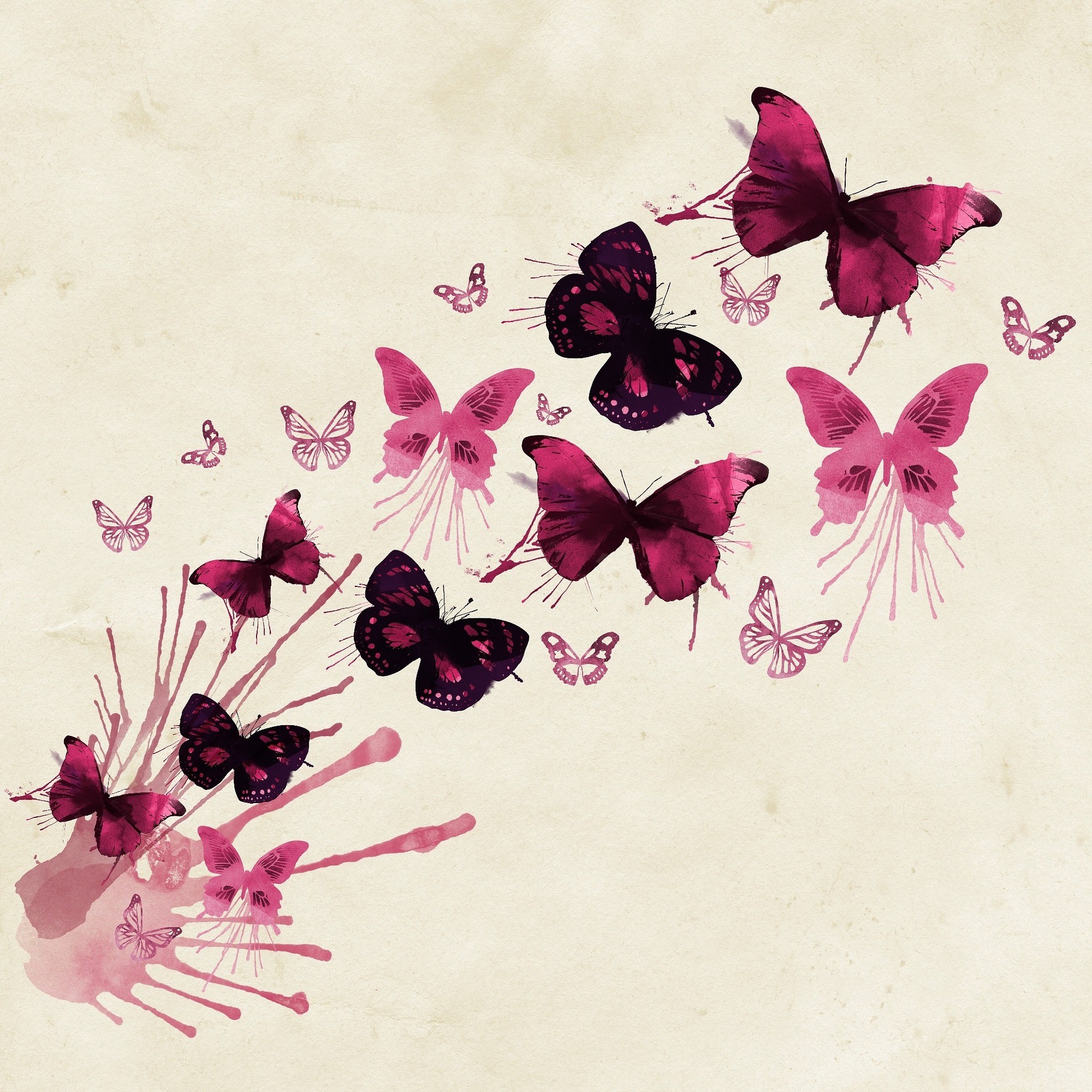Schmetterling Hintergrund